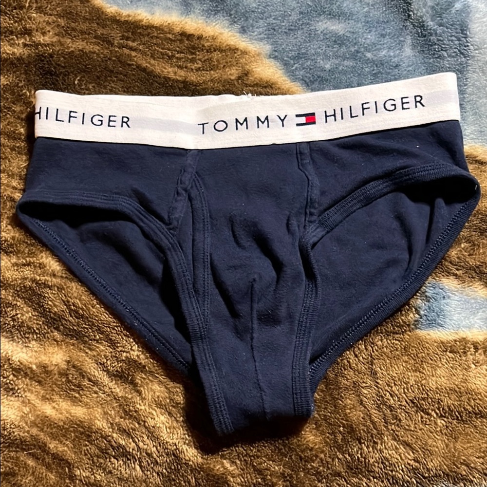 Tommy Hilfiger Men's Navy Briefs, size Small.